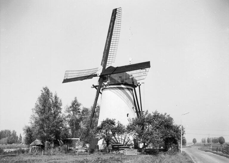 kooiwijkse molen