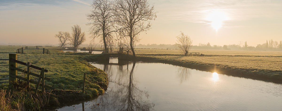 Polderbeeld Alblasserwaard bij zonsopkomst