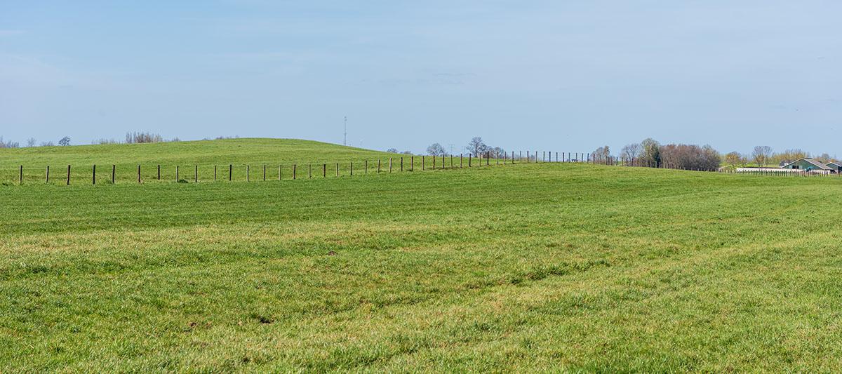 Zanddonk de Schoonenburgse Heuvel