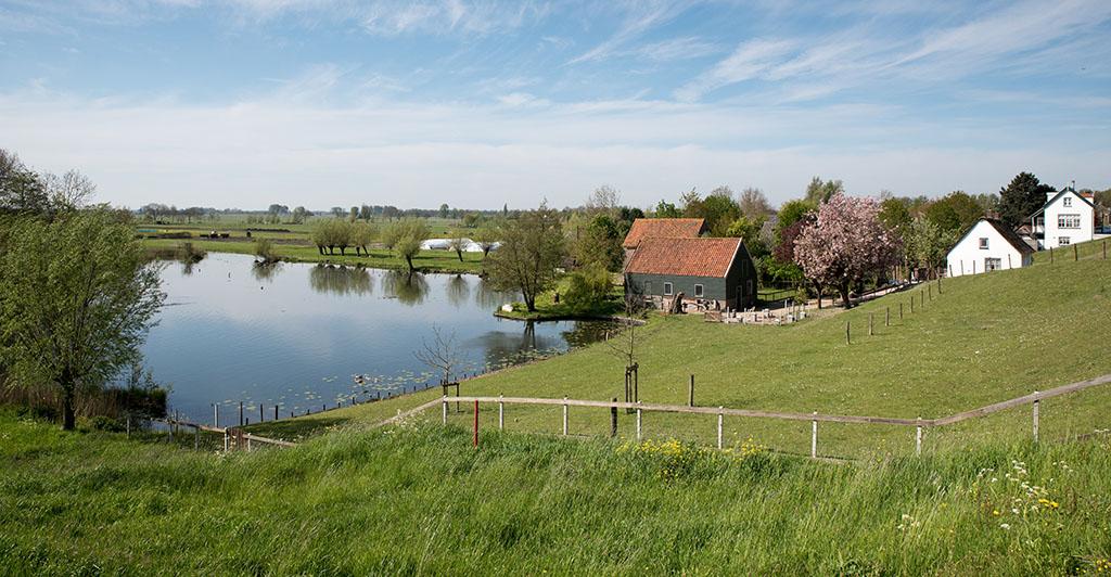 Dijkwoningen aan wiel bij Langerak