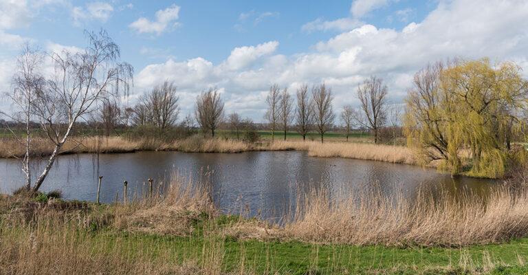 wielen in meerkerk