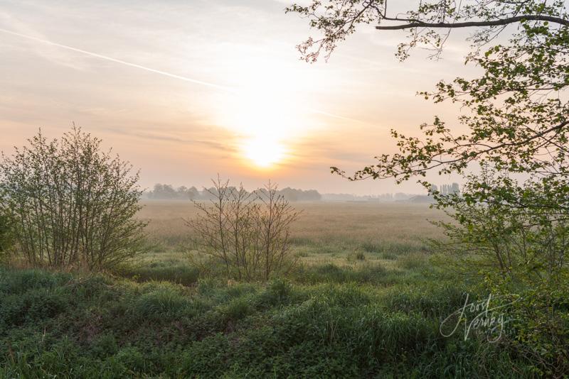 Doorkijkje bij zonsopkomst polder Achterhoven