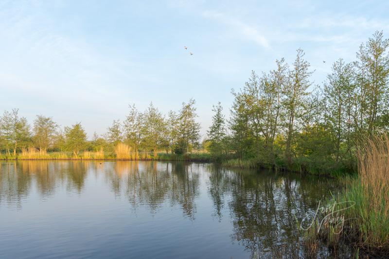 Plas bij natuurgebied de Zouweboezem