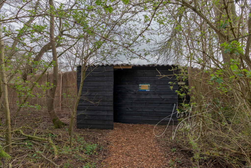 Kijkscherm bij eendenkooi De Zouwe