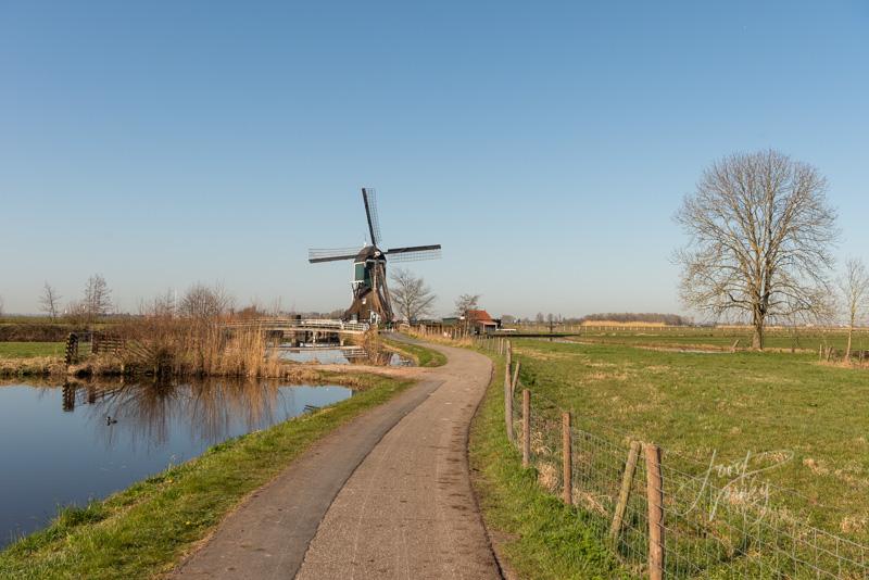 Polderweggetje naar Achterlandsemolen