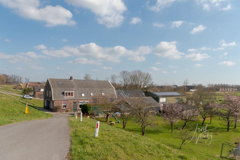 Dijkwoning buurtschap Gelkenes