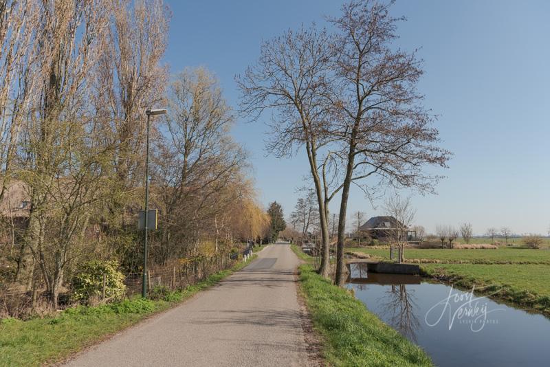 Landelijk weggetje in Graafland