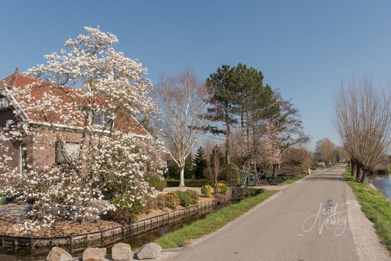 Boerderij in Graafland