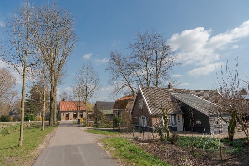 Straatje in het buurtschap Liesveld