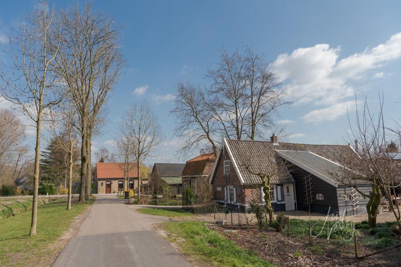 Straatje in het buurtschap Liesveld