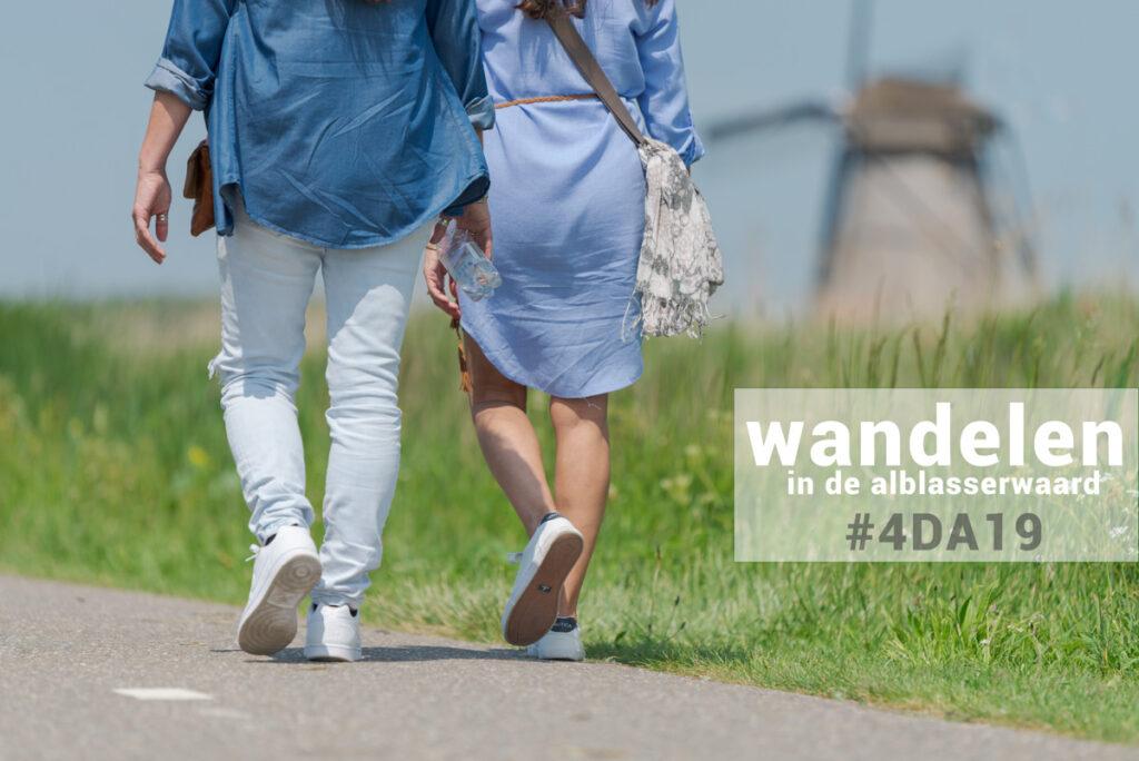 vierdaagse ablasserwaard 2019 - wandelen