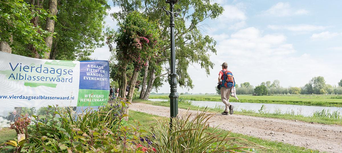 vierdaagse alblasserwaard 2019