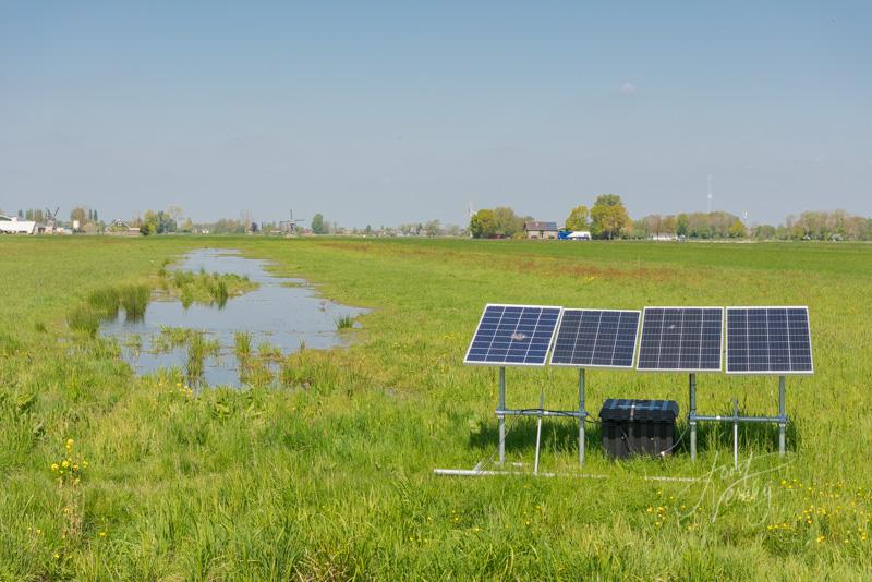 Plasdras in de polders bij Streefkerk