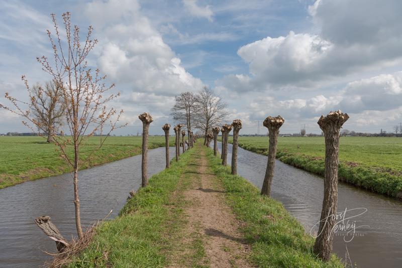 Tiendweg in polder Alblasserwaard