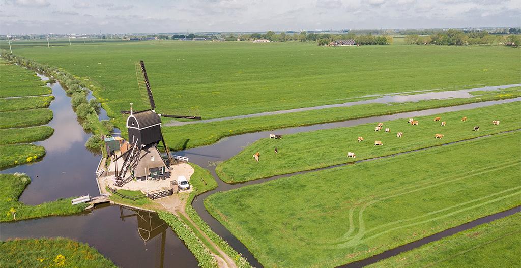 Tiendwegse molen