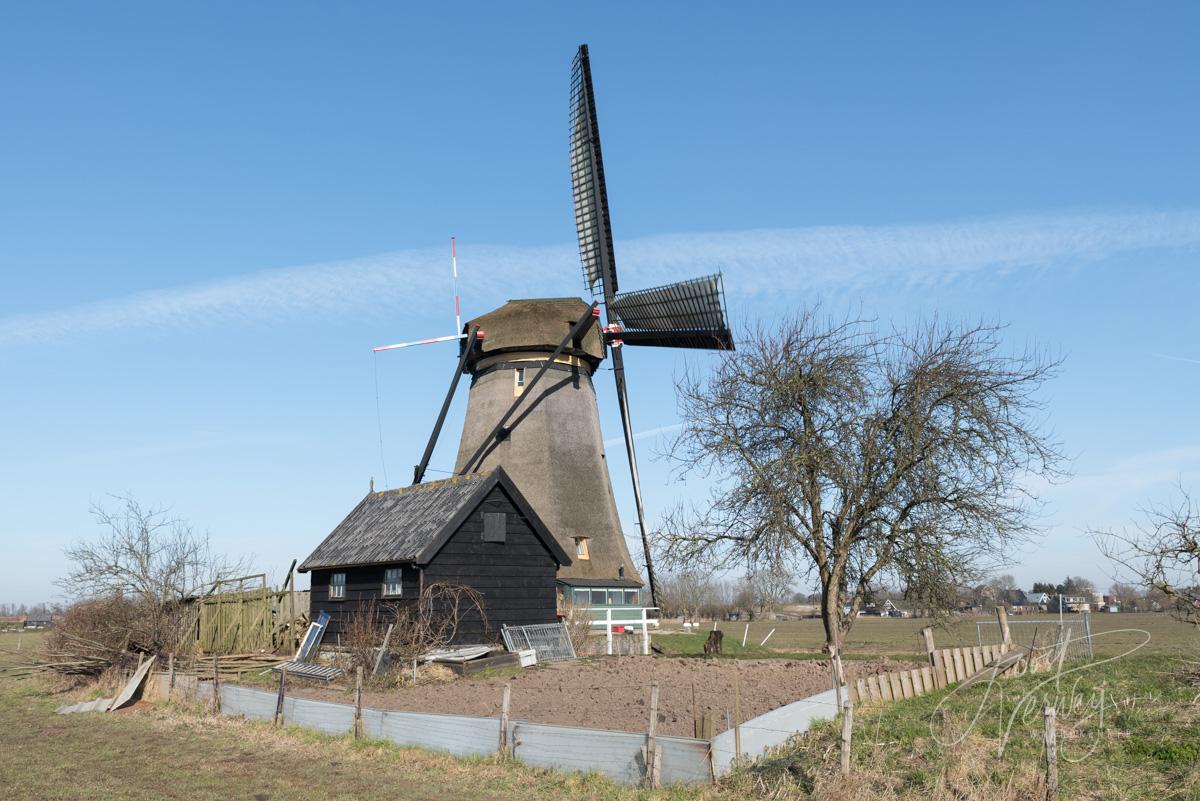 De Kleine Molen in Nieuw-Lekkerland