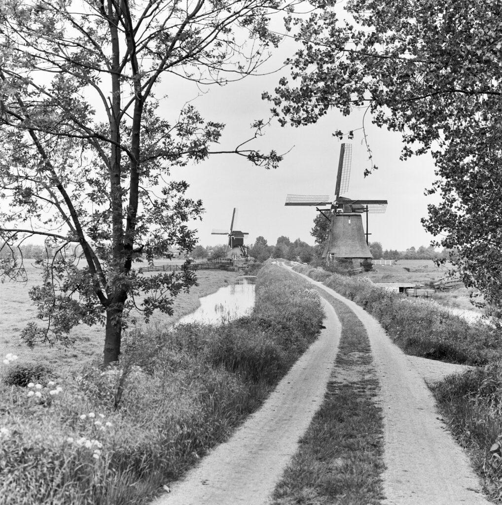 Achtkante Molen en Kleine Tiendwegmolen