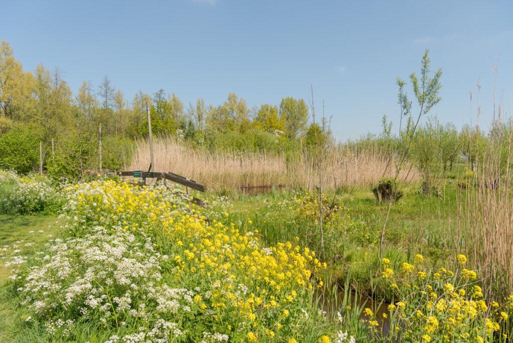 Educatieve heemtuin in Alblasserbos