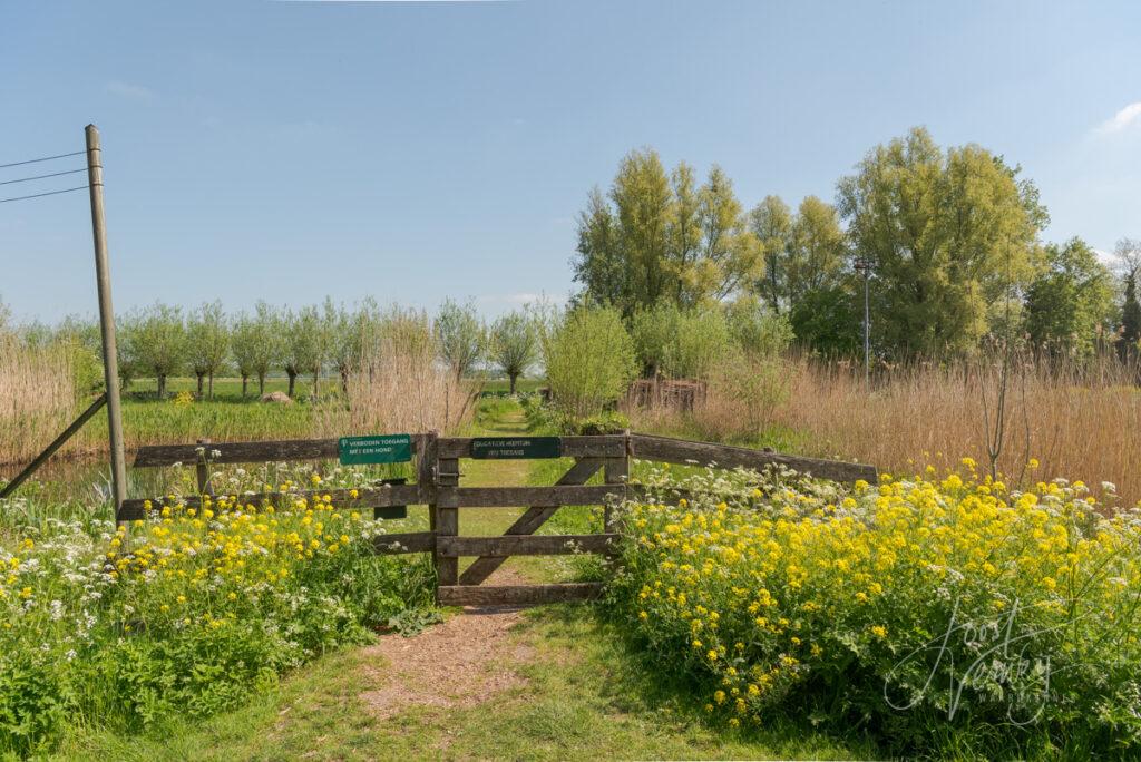 Hek naar Educatieve heemtuin in Alblasserbos