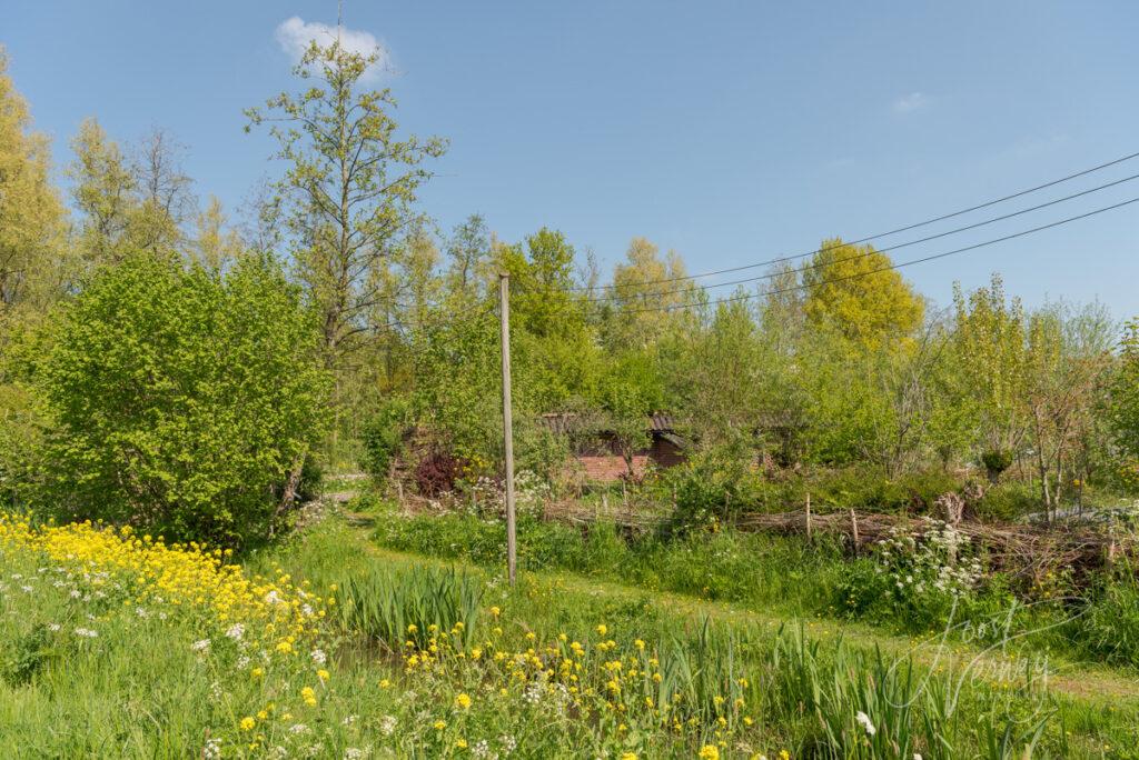 Educatieve heemtuin in Alblasserbos