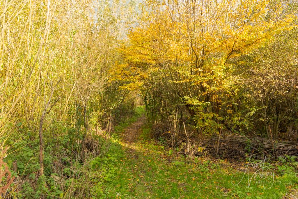 Doorgang Heemtuin in herfstkleuren