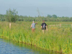 Wandelen in de polders van de Alblasserwaard